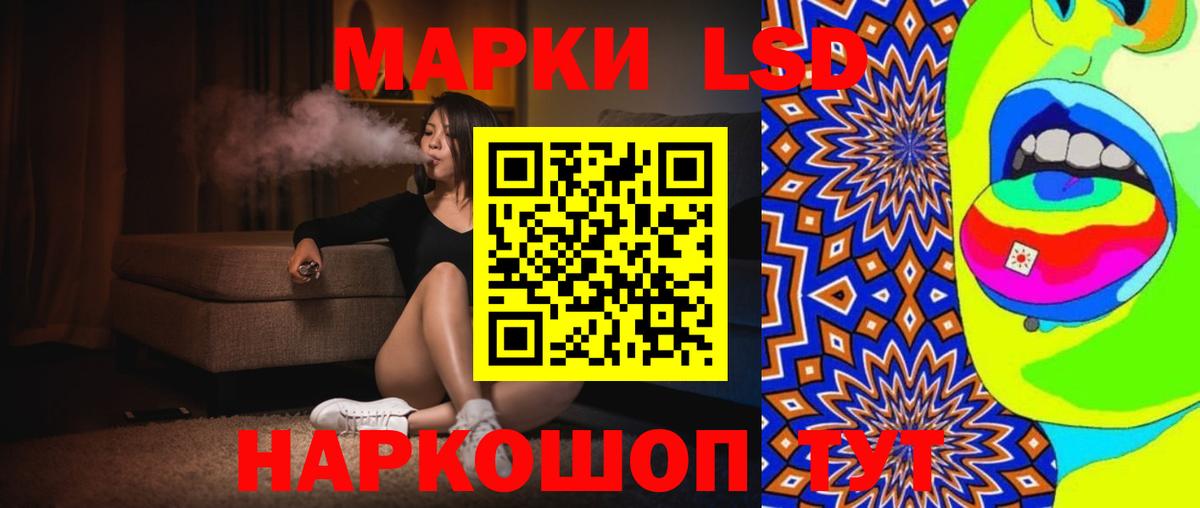 Псилоцибиновые грибы Сафоново
