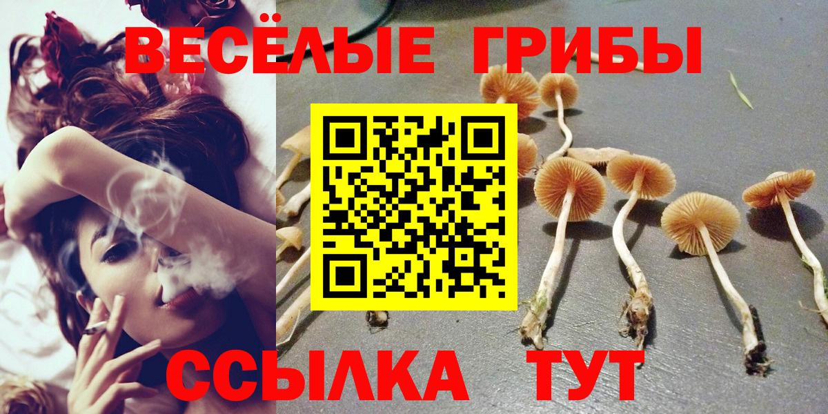 Сафоново  Псилоцибиновые грибы прущие грибы  Вход с VPN 